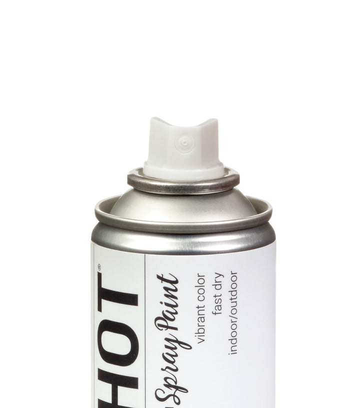 Picture of 48306 COLORSHOT Matte Spray Paint Head in the Clouds (White) 10 oz.