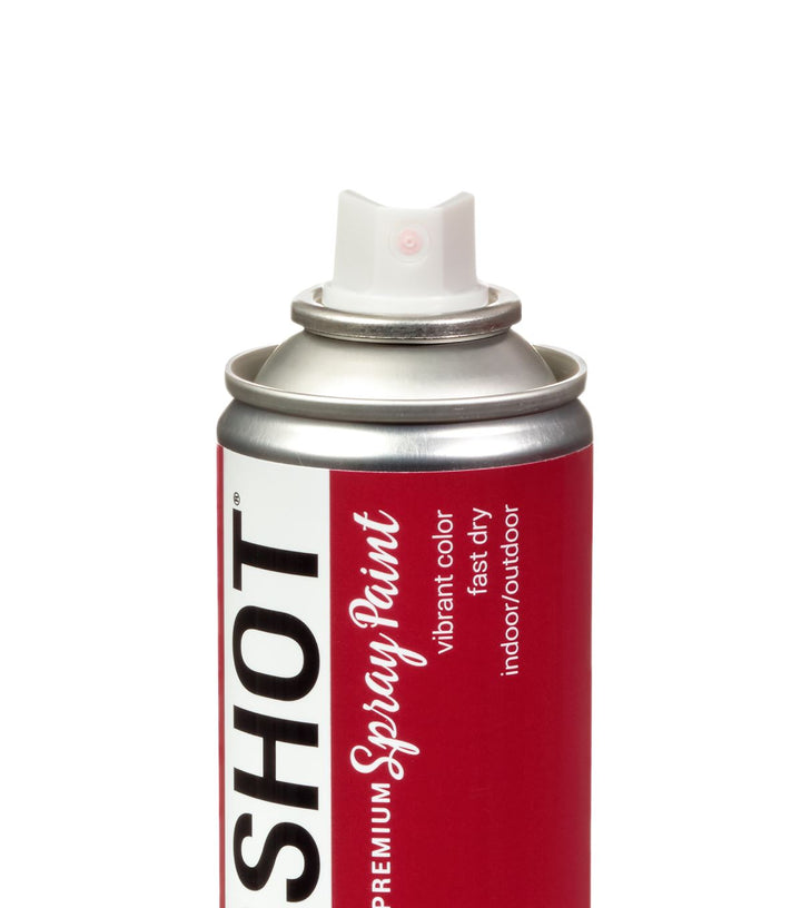 Picture of 48276 COLORSHOT Gloss Spray Paint Speeding Ticket (Dark Red) 10 oz.