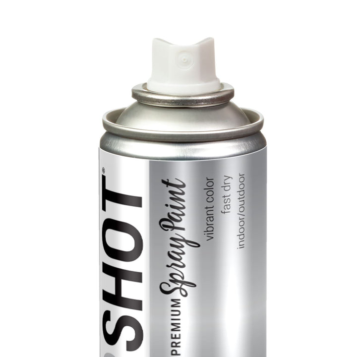 Picture of 47011 COLORSHOT Metallic Spray Paint Heads or Tails (Silver) 8 oz.