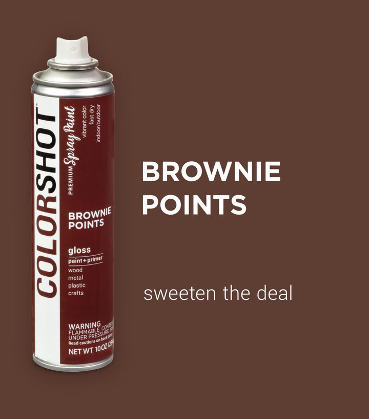 Picture of 48296 COLORSHOT Gloss Spray Paint Brownie Points (Dark Brown) 10 oz.