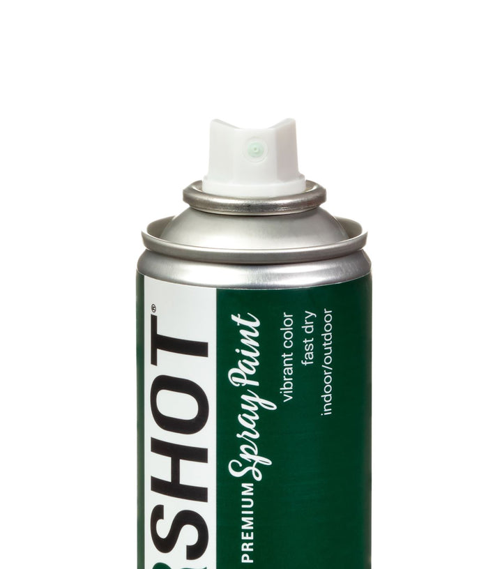 Picture of 48283 COLORSHOT Satin Spray Paint Kale (Dark Green) 10 oz.