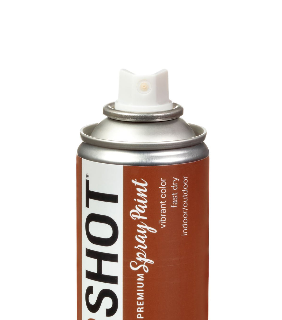 Picture of 48295 COLORSHOT Satin Spray Paint Rootbeer Float (Medium Brown) 10 oz.