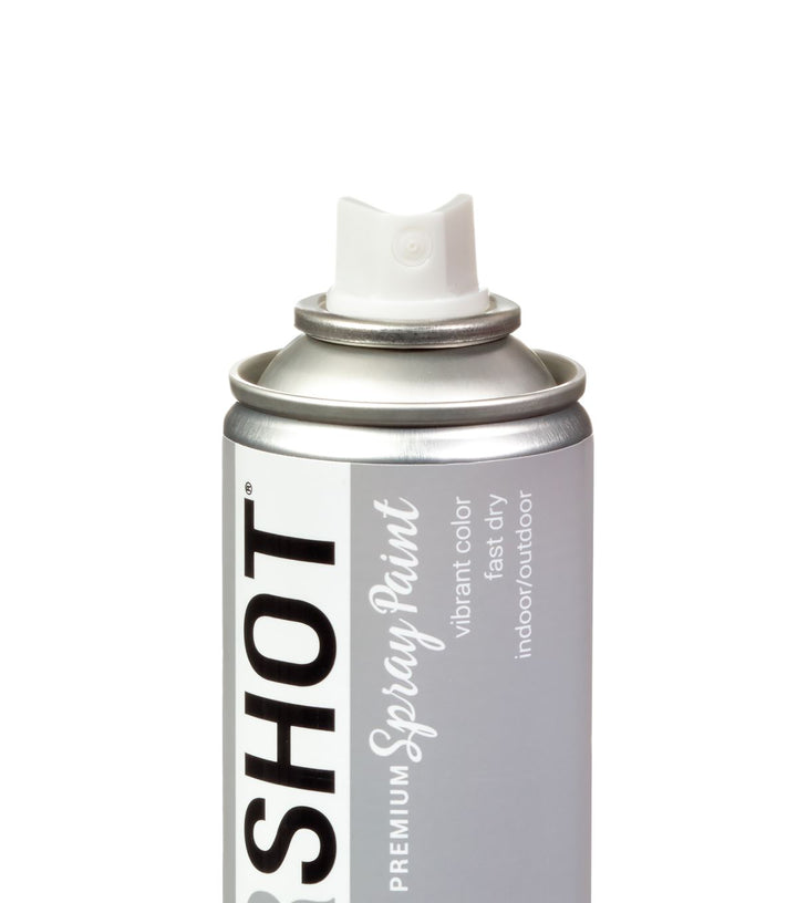 Picture of 48297 COLORSHOT Gloss Spray Paint Rainy Day (Light Gray) 10 oz.