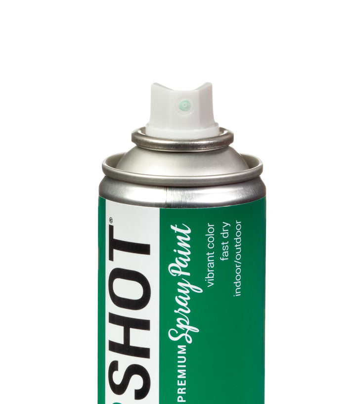 Picture of 48282 COLORSHOT Gloss Spray Paint Cash (Green) 10 oz.