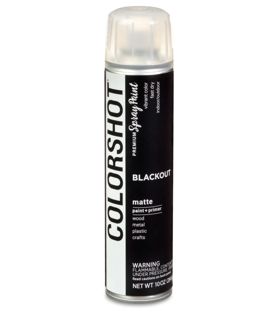 Picture of 48302 COLORSHOT Matte Spray Paint Blackout (Black) 10 oz.