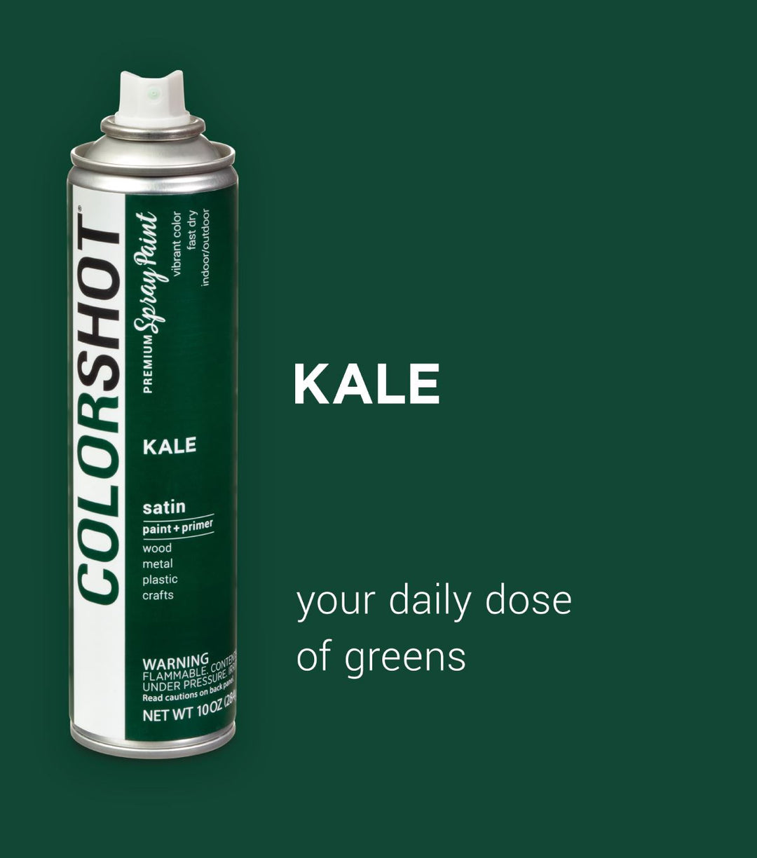 Picture of 48283 COLORSHOT Satin Spray Paint Kale (Dark Green) 10 oz.