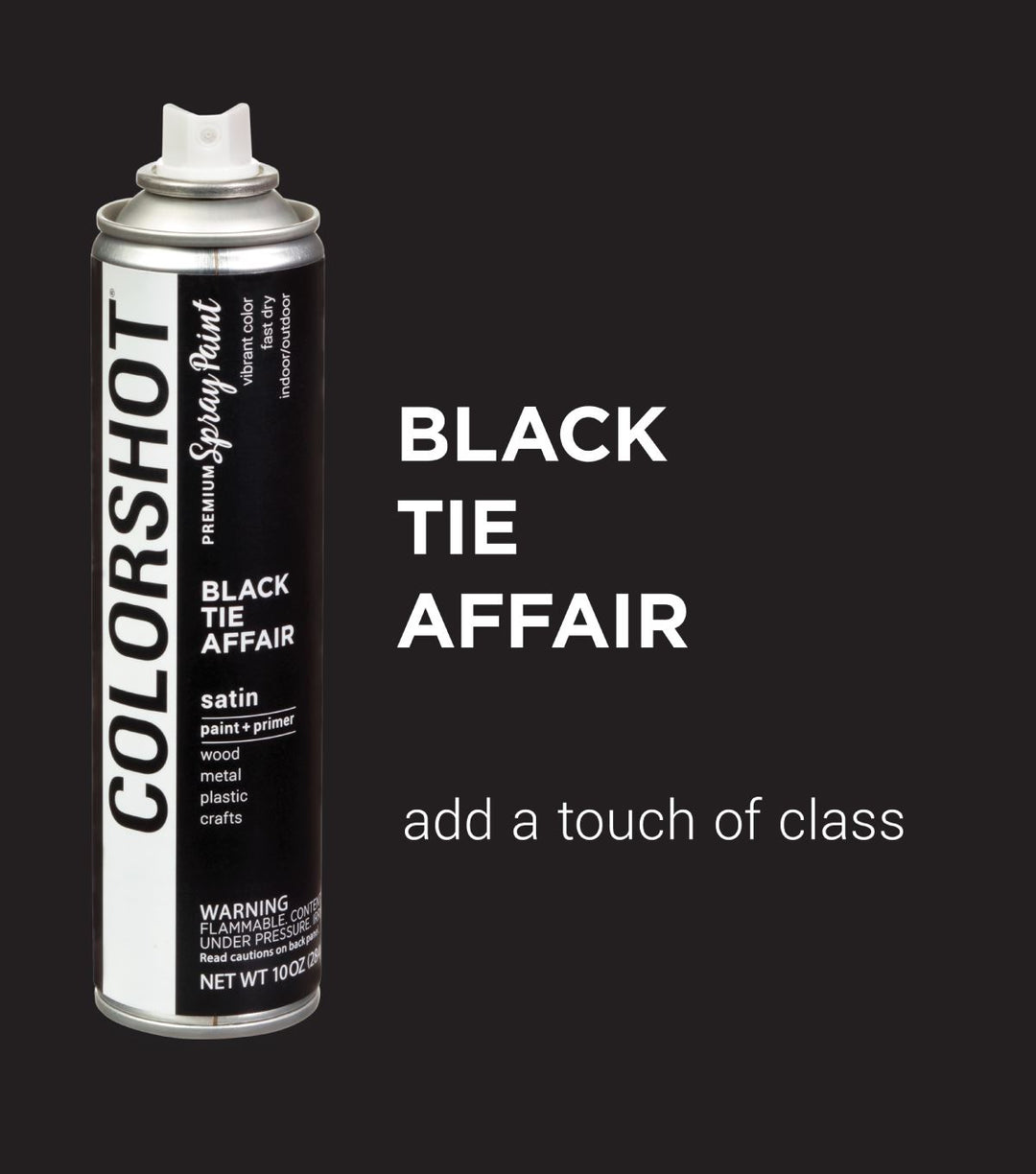 Picture of 48301 COLORSHOT Satin Spray Paint Black Tie Affair (Black) 10 oz.