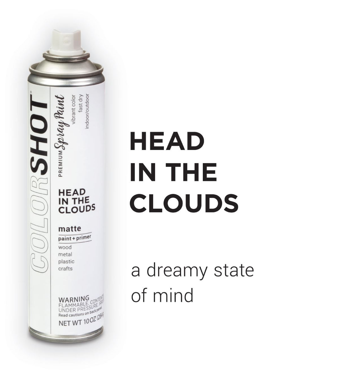 Picture of 48306 COLORSHOT Matte Spray Paint Head in the Clouds (White) 10 oz.