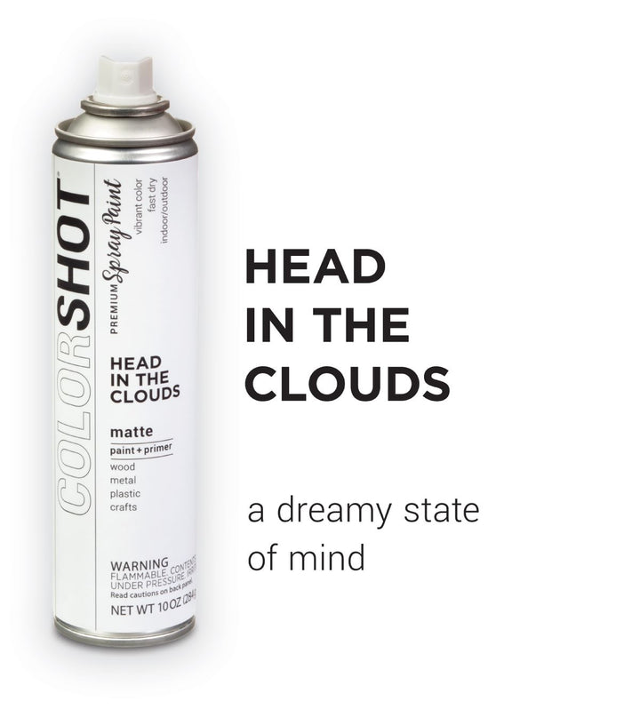 Picture of 48306 COLORSHOT Matte Spray Paint Head in the Clouds (White) 10 oz.