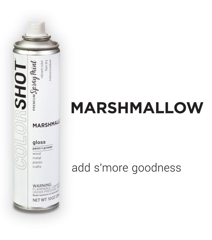 Picture of 48304 COLORSHOT Gloss Spray Paint Marshmallow (White) 10 oz.