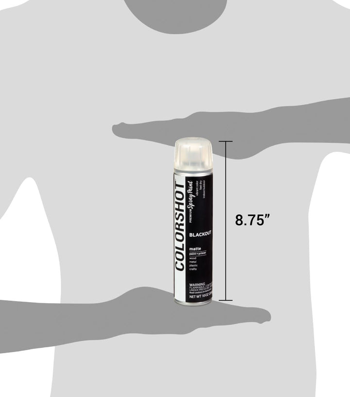 Picture of 48302 COLORSHOT Matte Spray Paint Blackout (Black) 10 oz.