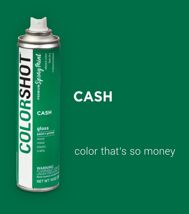 Picture of 48282 COLORSHOT Gloss Spray Paint Cash (Green) 10 oz.