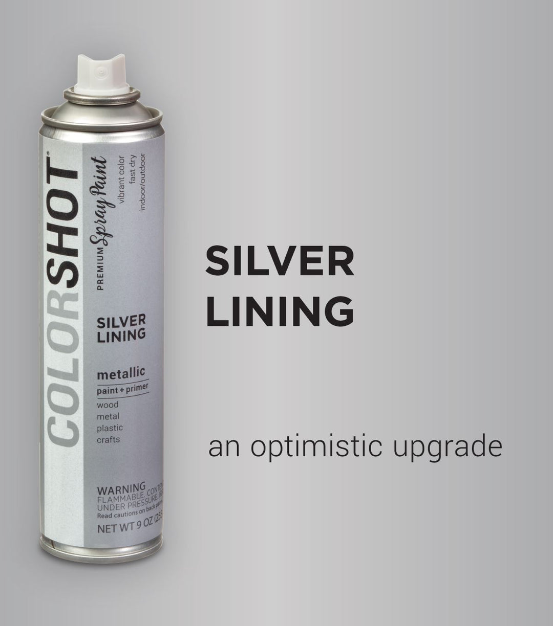 Picture of 48314 COLORSHOT Metallic Spray Paint Silver Lining (Silver Metallic) 9 oz.