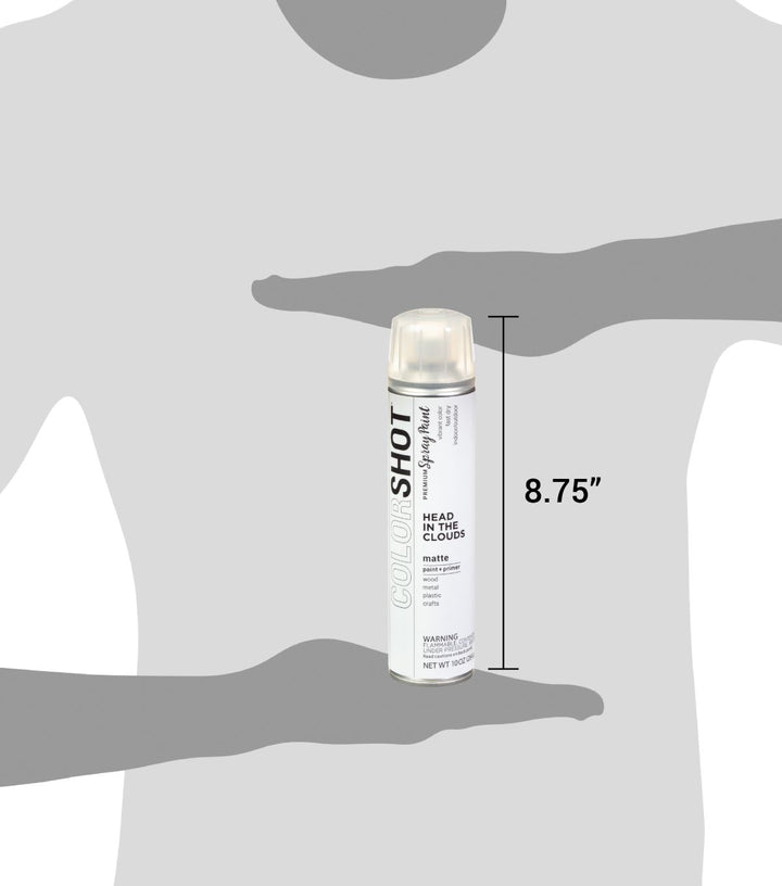 Picture of 48306 COLORSHOT Matte Spray Paint Head in the Clouds (White) 10 oz.