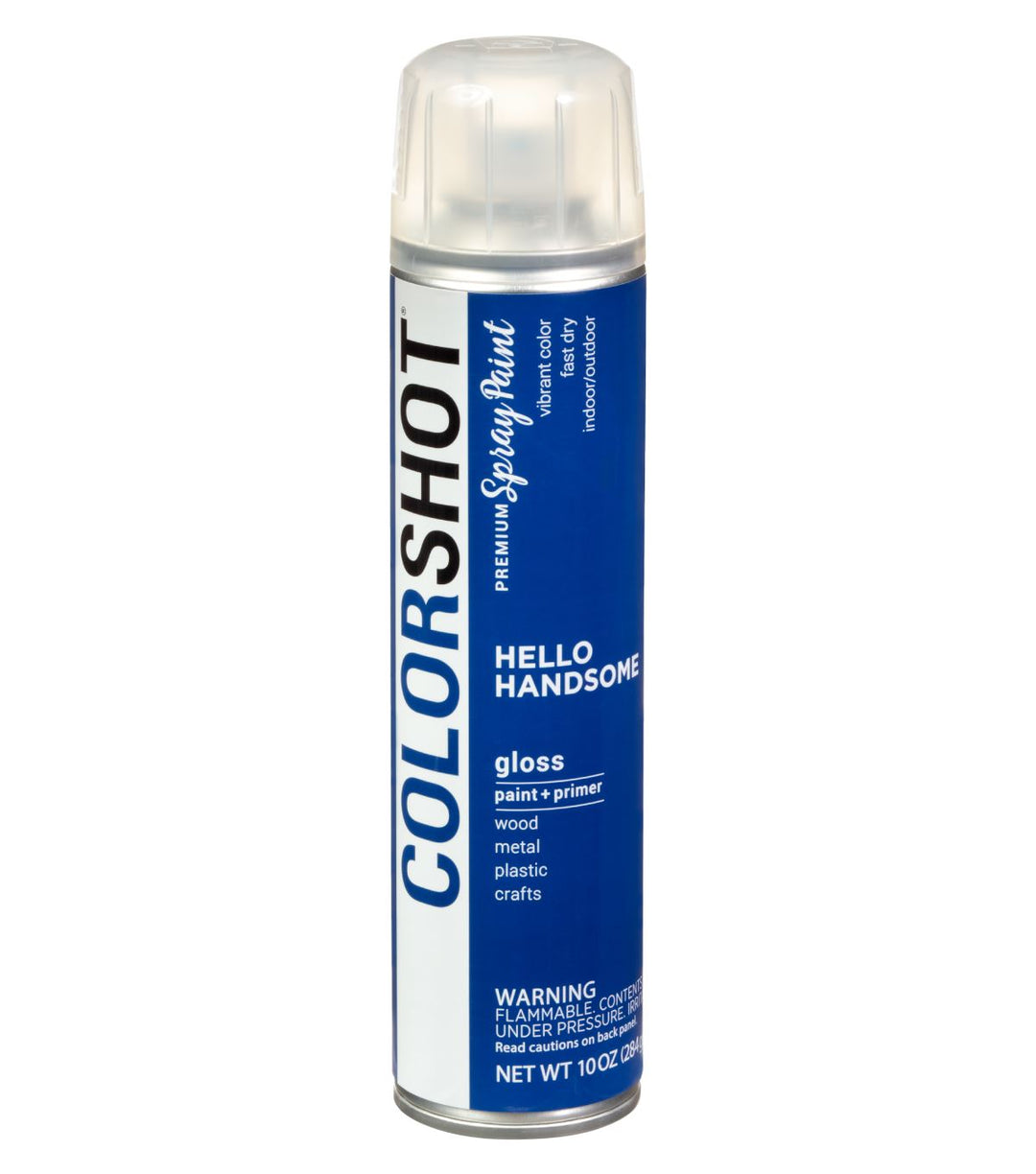 Picture of 48290 COLORSHOT Gloss Spray Paint Hello Handsome (Royal Blue) 10 oz.