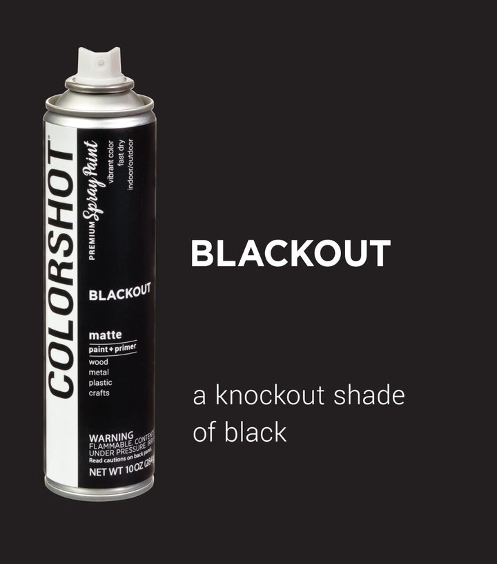 Picture of 48302 COLORSHOT Matte Spray Paint Blackout (Black) 10 oz.