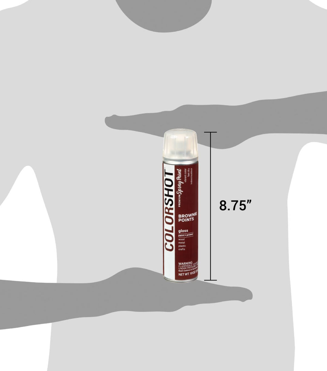 Picture of 48296 COLORSHOT Gloss Spray Paint Brownie Points (Dark Brown) 10 oz.