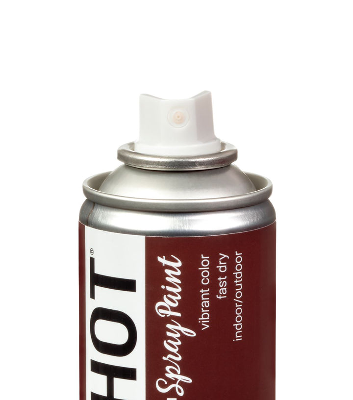 Picture of 48296 COLORSHOT Gloss Spray Paint Brownie Points (Dark Brown) 10 oz.